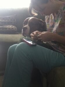 Healing Our Pets Without Overusing Antibiotics Image